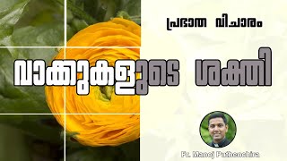 വാക്കുകളുടെ ശക്തി | FR.MANOJ PUTHENCHIRA (Germany) Episode 50