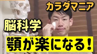 顎の問題を改善する方法【三叉神経のワーク知ってますか？】