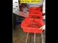 shrimp processing, shrimp defrost #fishmachine #aquaculture #seafood #shrimp #shrimpprocessing