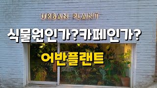 #48🌼🍃어반플랜트.식물카페.인생샷 찍기 좋은곳.카페투어URBAN PLANT Cafe Tour