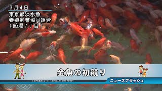 金魚の初競り