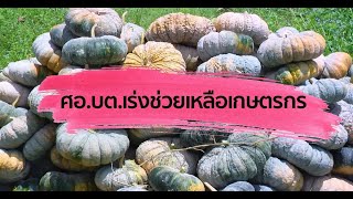 ศอ.บต.เร่งช่วยเหลือเกษตรกรผู้ได้รับผลกระทบจากโควิด-19