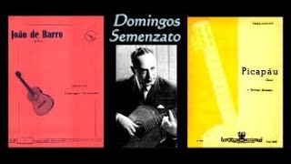 Domingos Semenzato - JOÃO DE BARRO / PICAPÁU (Choro)