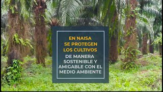 🌿 Tecnología Amigable con el Medio Ambiente en #NAISA 🌱