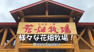 【北海道中札内村】様々な株式会社花畑牧場！