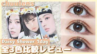 【カラコンレポ】chuulens デイジーシャワーシリーズ全3色比較レビュー🌼自然光/照明あり/照明なし【韓国カラコン】