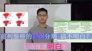 【攝護腺癌】【前列腺癌】前列腺癌怎么分期？一次性搞定前列腺癌的TNM临床分期