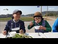 전주 한옥마을 우리놀이터 마루달 쌉싸래한 가을의 맛 고들빼기 2020. 11. 16. 월요일 투데이전북 재미 live