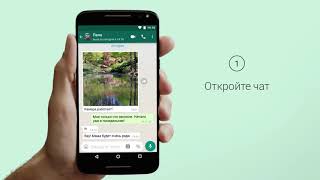 Как звонить по WhatsApp