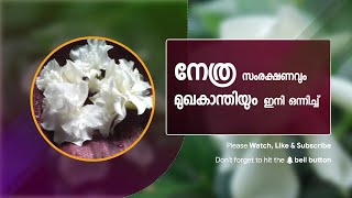 നന്ത്യാർവട്ടം = ചർമ്മകാന്തിയും + നേത്ര സംരക്ഷണവും || Nandyarvattam for Skin Care \u0026 Eye Care | Ep-18