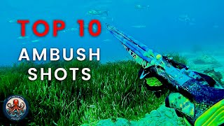 🔱 Top 10 + 1 Shots in Shallow Spearfishing | The Art of Ambushing 🎯