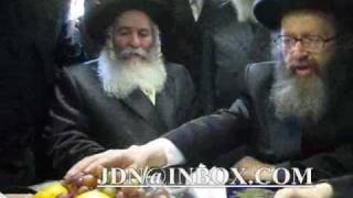 bobover rebbe in london