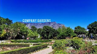 Discovering the Oldest Garden in South Africa at The Company Gardens in Cape Town.