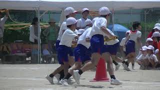 令和元年5月25日加茂小学校運動会12