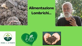 Alimentazione Lombrichi ed aggiornamenti...#lombricoltura