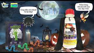 APN - BƯỚM VÀ NHỆN KỲ 28 - VUI HỘI HALLOWEEN #anphatnong