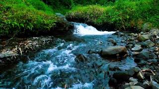 Soothing River Sounds for Sleep | Relaxing Nature Sound for Stress Relief \u0026 Deep Rest