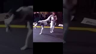 TAEKWONDO WTF