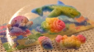 Kracie Sea Animals Shaped Rainbow Gummy