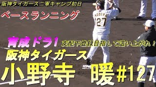 【阪神育成ドラ1大卒外野手/キャンプ初日ベースランニング】阪神タイガース・小野寺 暖#127(京都翔英高→大阪商業大)