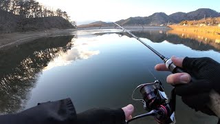 竜華池で釣り！