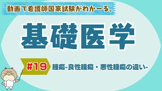 『基礎医学 #19』腫瘍-良性腫瘍・悪性腫瘍の違い-【看護学生向け看護師国家試験講座】