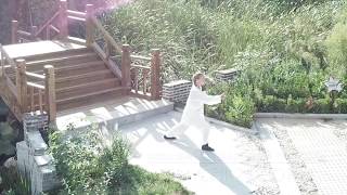 Tai Chi 24 Form 24式太極拳 [èrshísì Shì Tàijí Quán]