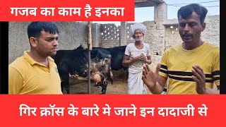 राजस्थान का बेस्ट गिर क्रॉस गाय का फार्म #dairyfarm #rajasthan#viral #topcow#bhilwara #dairyproducts