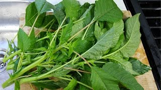 How To Prepare Jamaican Callaloo For Cooking - Chris De La Rosa | FoodFAQ