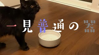 猫がよく水を飲むようになると噂の水飲み器は効果があるのかな？　224話