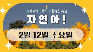 자연아! 2월 12일(수)