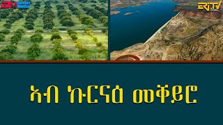 ኣብ ኩርናዕ መቐይሮ - መኣዝን ልምዓት | meazin limeat - Nearing a pivotal moment - ERi-TV