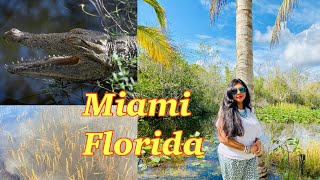 Everglades National Park at Miami, Florida ॥ American Alligators with beautiful nature॥Travel Vlog