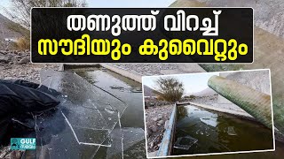 Saudi weather: സൗദിയിലും കുവൈറ്റിലും അതിശൈത്യം