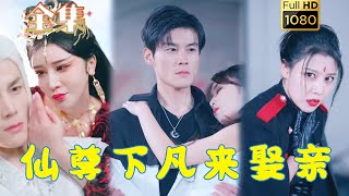 【逆襲爽劇】《仙尊下凡來娶親》#剧会火 #drama #movie #shorts #shortvideo#短剧 #爱情 #都市 #玄幻#虐渣#打脸#爽剧#逆袭