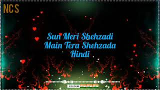 Sun Meri Shehzadi Main Tera Shehzada New Love Song || Nocopyright Hindi Songs