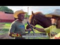 O Agro Não Para - Reinaldo Cowboy visita uma escola pra cavalos - Junior Rezende Treinamentos