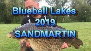 Bluebell Lakes Sandmartin 2019