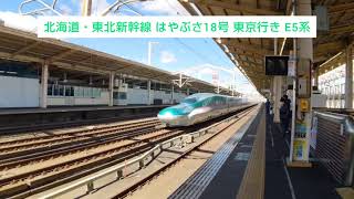 北海道・東北新幹線 はやぶさ18号 東京行き E5系と秋田新幹線 こまち18号 東京行き E6系 2024.03.09