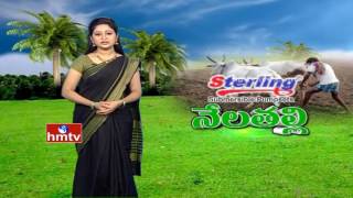 T Hub MoU with ICRISAT | Lilly Flower Cultivation | Nela Thalli | 01-06-16 | HMTV