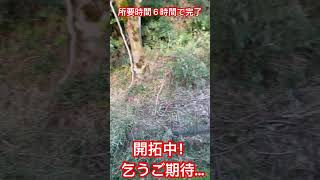 開拓中！新プロジェクトに乞うご期待...