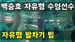 2017년 04월 백승호 선수 재능교육(자유형,자유형발차기)