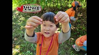 김포시 통진 유아숲체험원 8월 -숲속의 청소부, 버섯