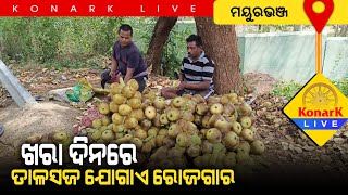 ଖରାଦିନେ ତାଳସଜ ଯୋଗାଏ ରୋଜଗାର, ମୟୁରଭଞ୍ଜ || MAYURBHANJ NEWS