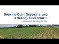 Ag Working for You: Growing Corn, Soybeans and a Healthy Environment