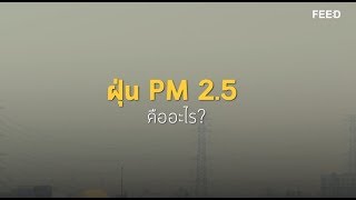 จบเรื่องฝุ่นใน 8 นาที !! กับปัญหาที่ทุกคนร่วมกันก่อ....และเราต้องร่วมกันแก้