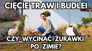 Marcowe prace w ogrodzie | Nowe rabaty i nasadzenia | Cięcie traw, budlei, co z żurawkami po zimie?