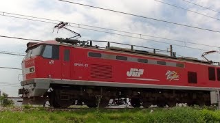 EF510-13牽引不定期8061ﾚ百済→札幌　信越本線下り