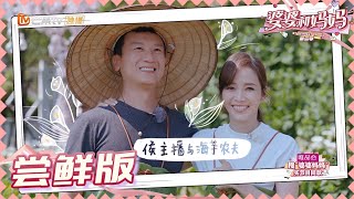 【尝鲜版】海芋花好漂亮！侯佩岑摘花献给天上的婆婆好感人！ 《婆婆和妈妈2》第13期  My Dearest Ladies S2 EP13 | MGTV