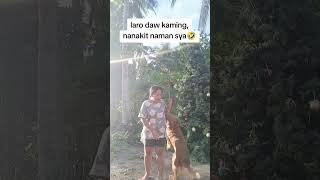 Kulitan namin paghinahyper🤣 #music #beach #dog #doglover #goldenretriever #foryou #petlover